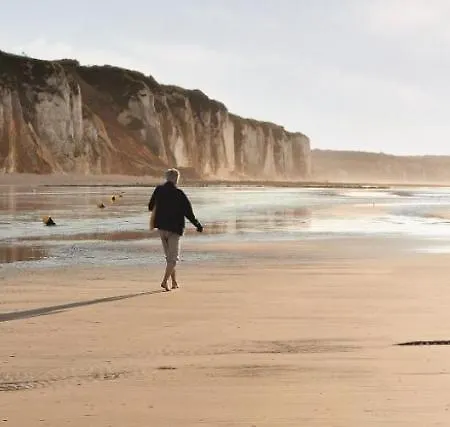L'agapanthe 3 Etoiles Joli En Bord De *